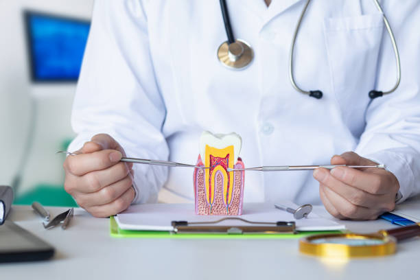 Best Emergency Dental Care for Broken or Chipped Teeth in Barbourmeade, KY